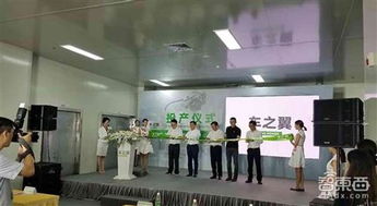 雙蛋節里的溫暖與智慧 科技中介服務的“心靈雞湯”